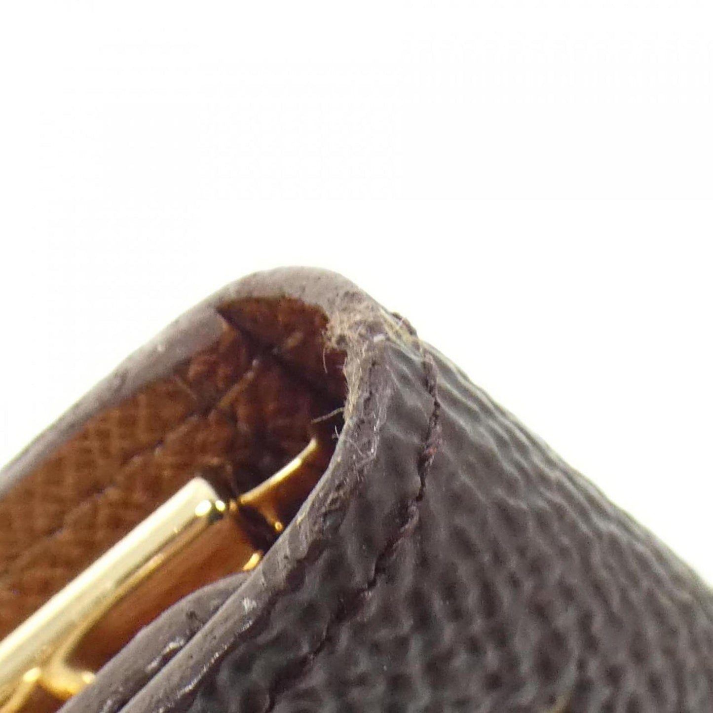 Louis Vuitton Coated Canvas Brown Cases