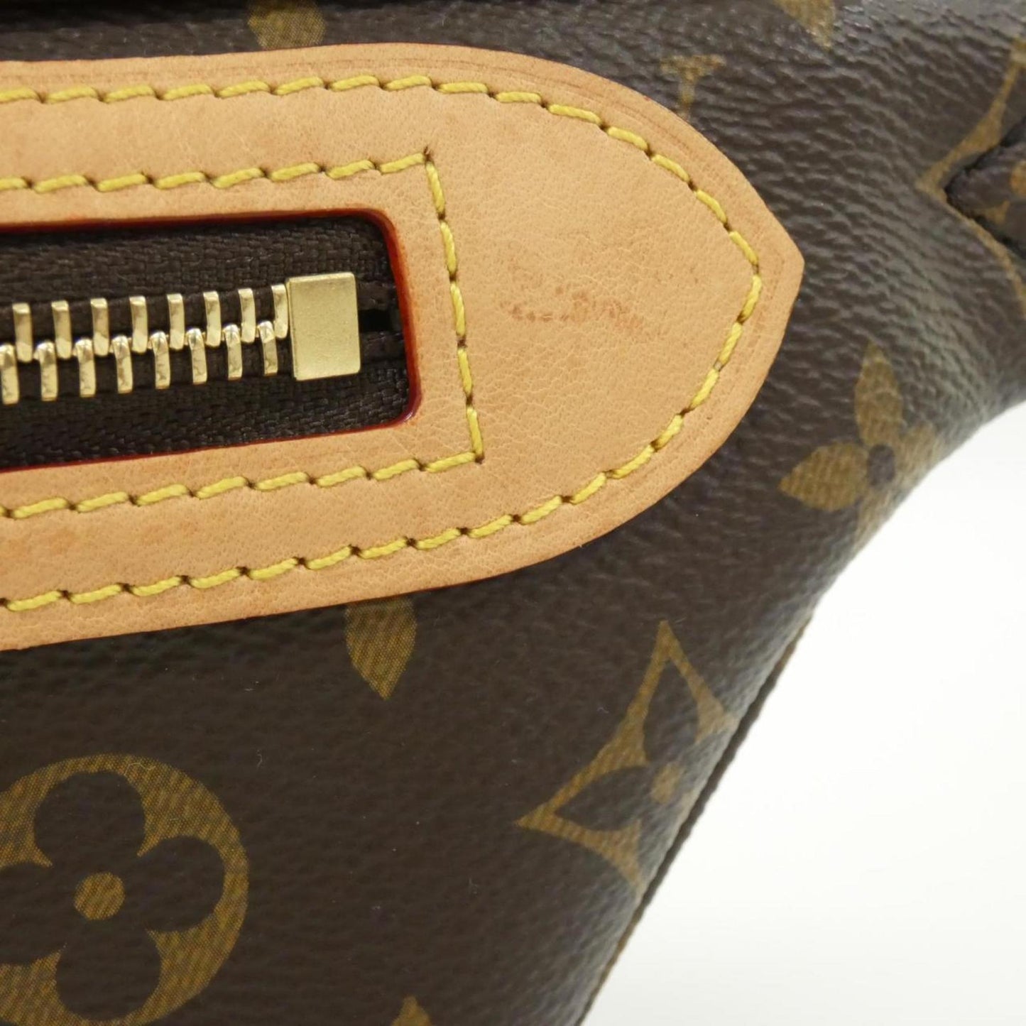 Louis Vuitton Coated Canvas Brown Handbags