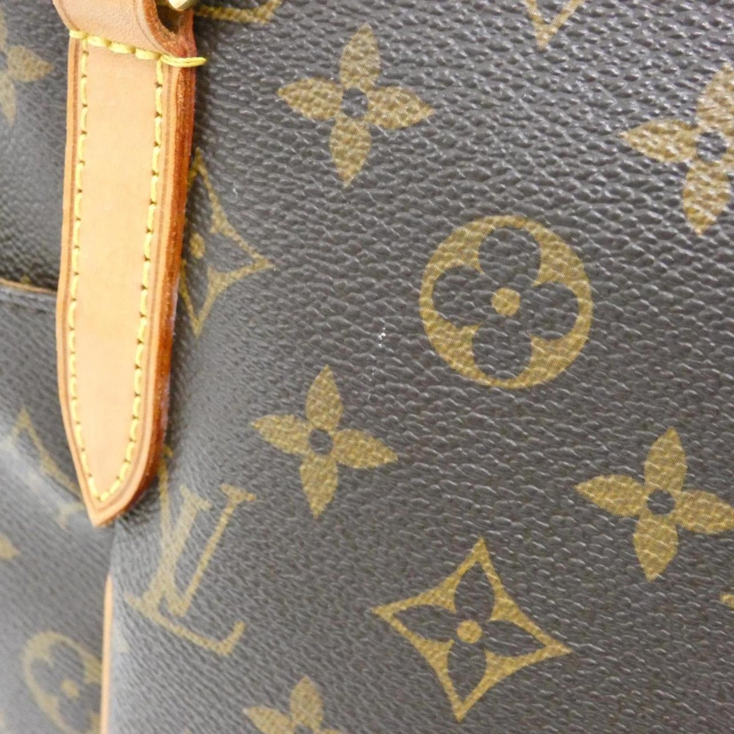 Louis Vuitton Monogram Canvas Brown Handbags