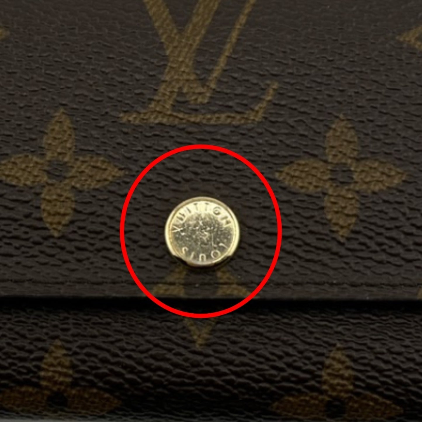 Louis Vuitton Monogram Canvas Brown Cases