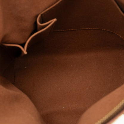 Louis Vuitton Pvc Brown Handbags