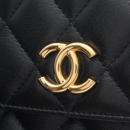 Chanel Others Black Shoulder Bags