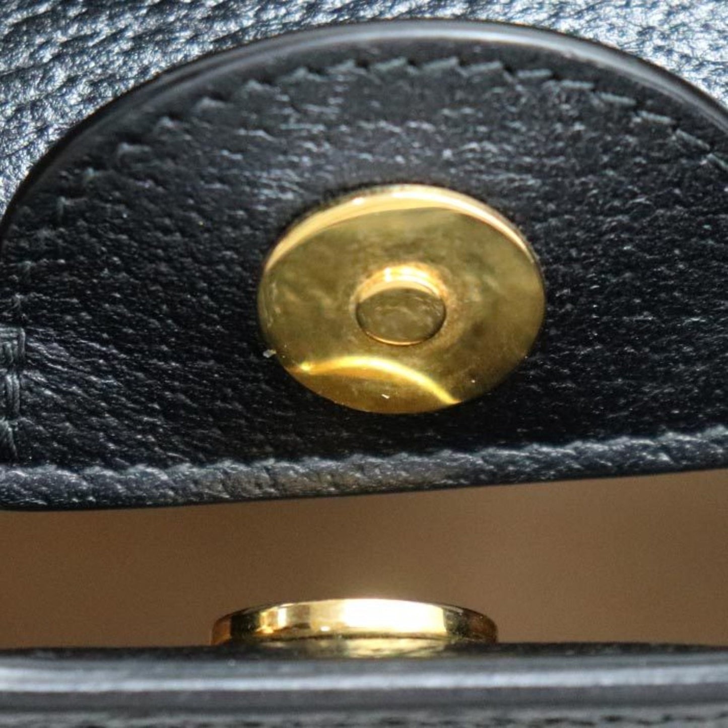 Gucci Others Black Shoulder Bags