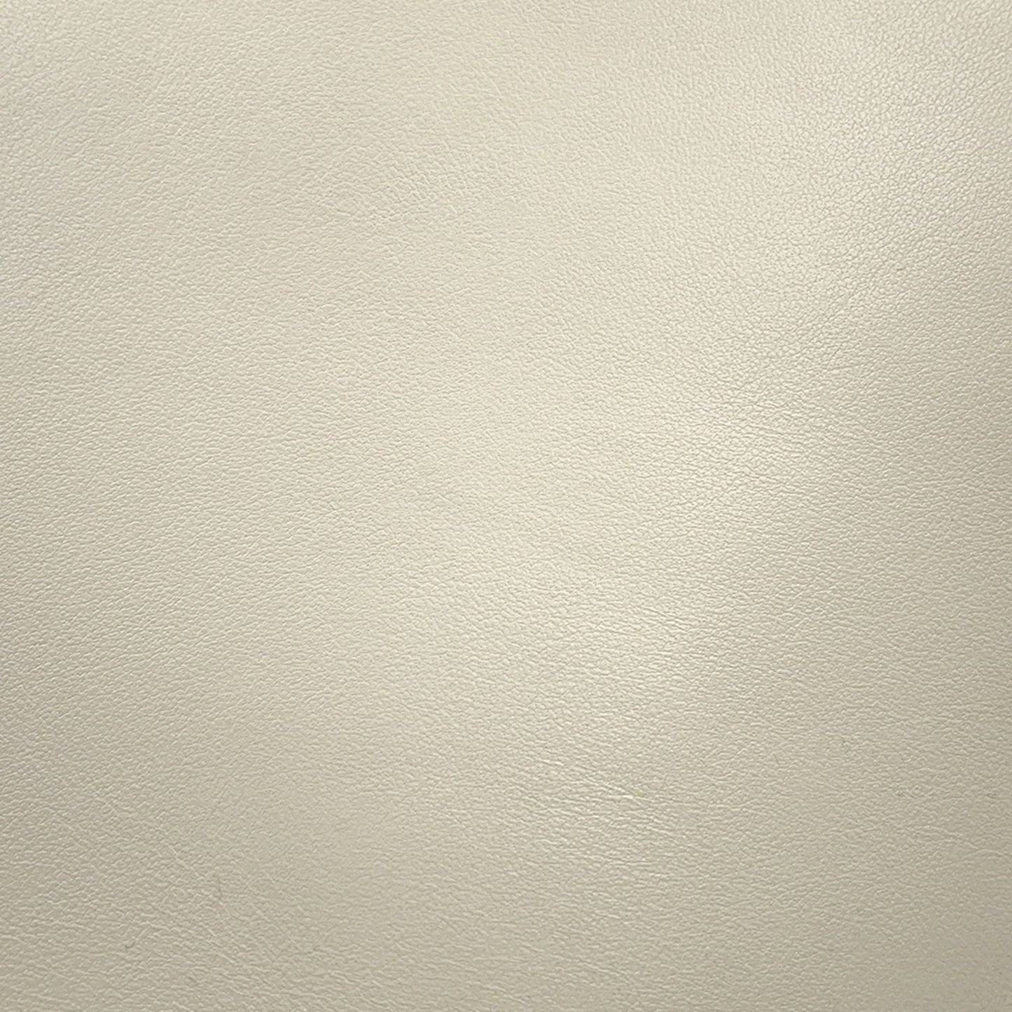 Gucci Others White Backpacks