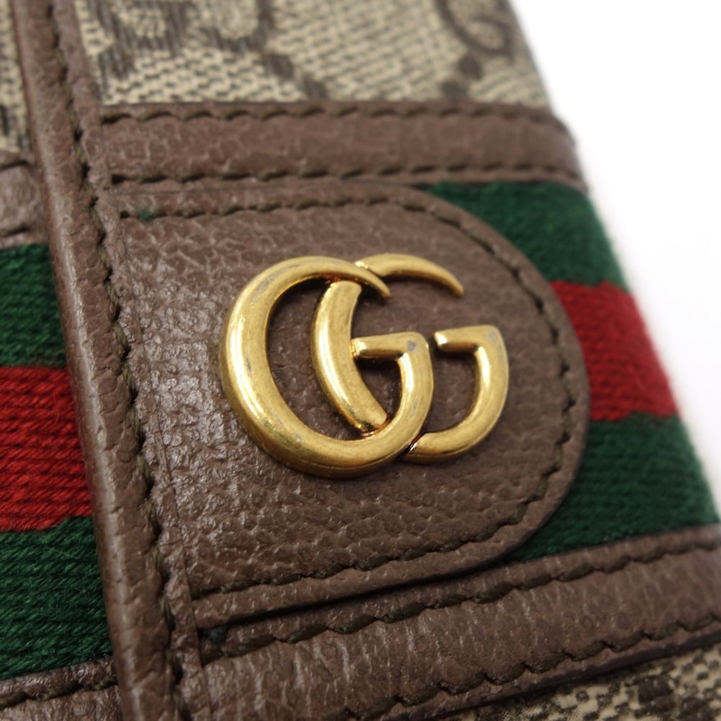 Gucci Canvas Brown Cases