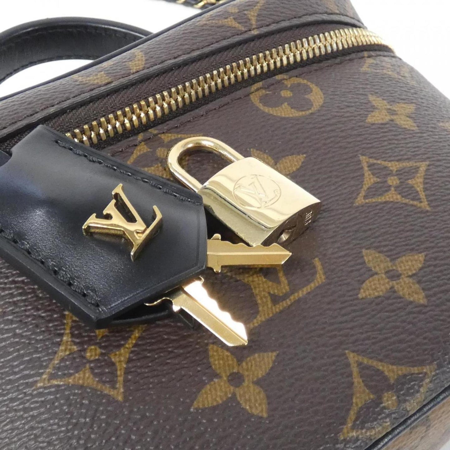Louis Vuitton Coated Canvas Brown Handbags