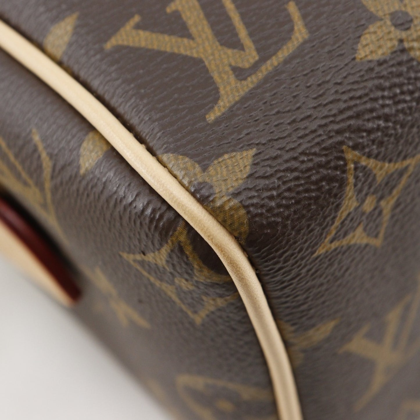 Louis Vuitton Monogram Canvas Brown Handbags