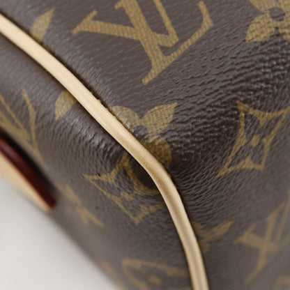 Louis Vuitton Monogram Canvas Brown Handbags