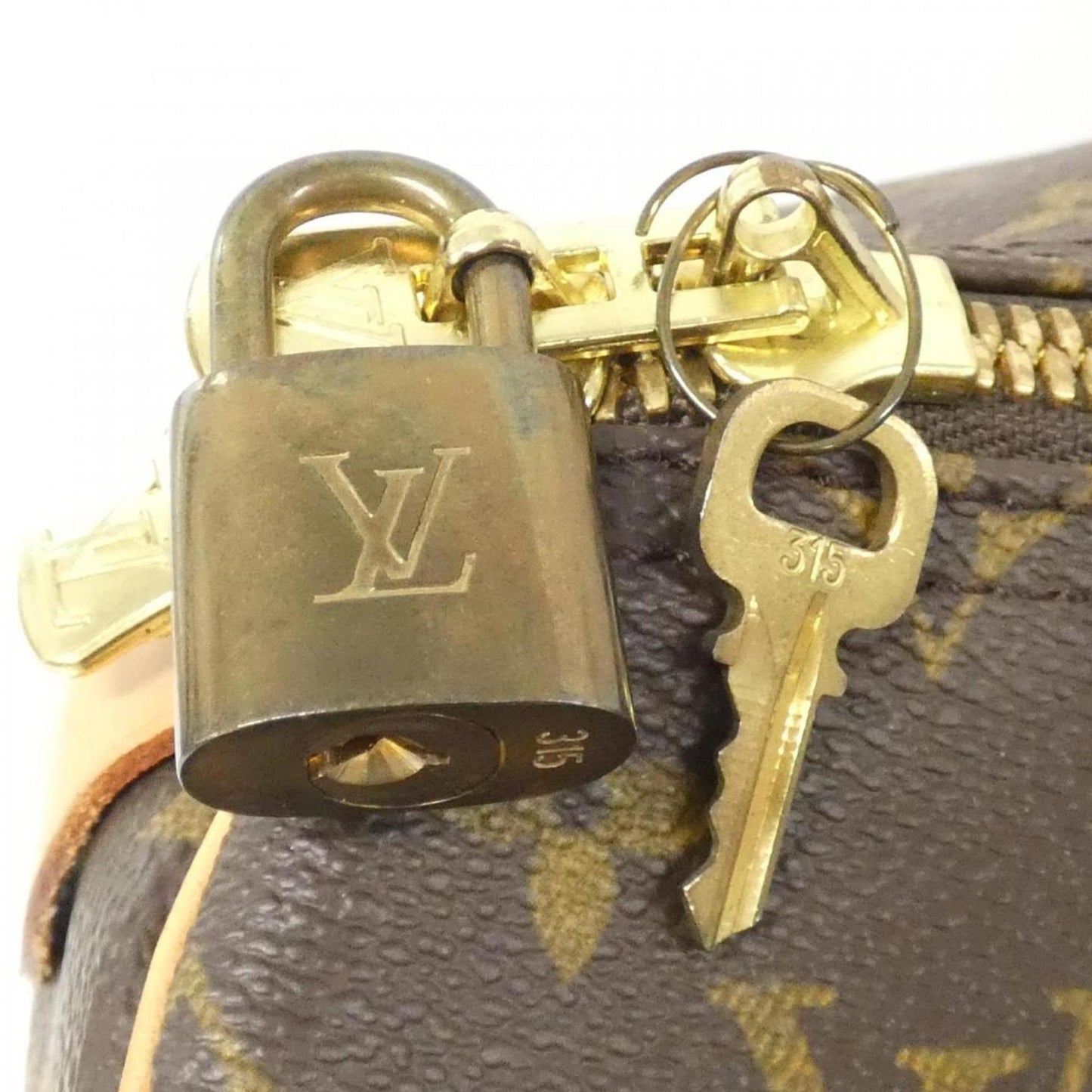 Louis Vuitton Monogram Canvas Brown Travel Bags