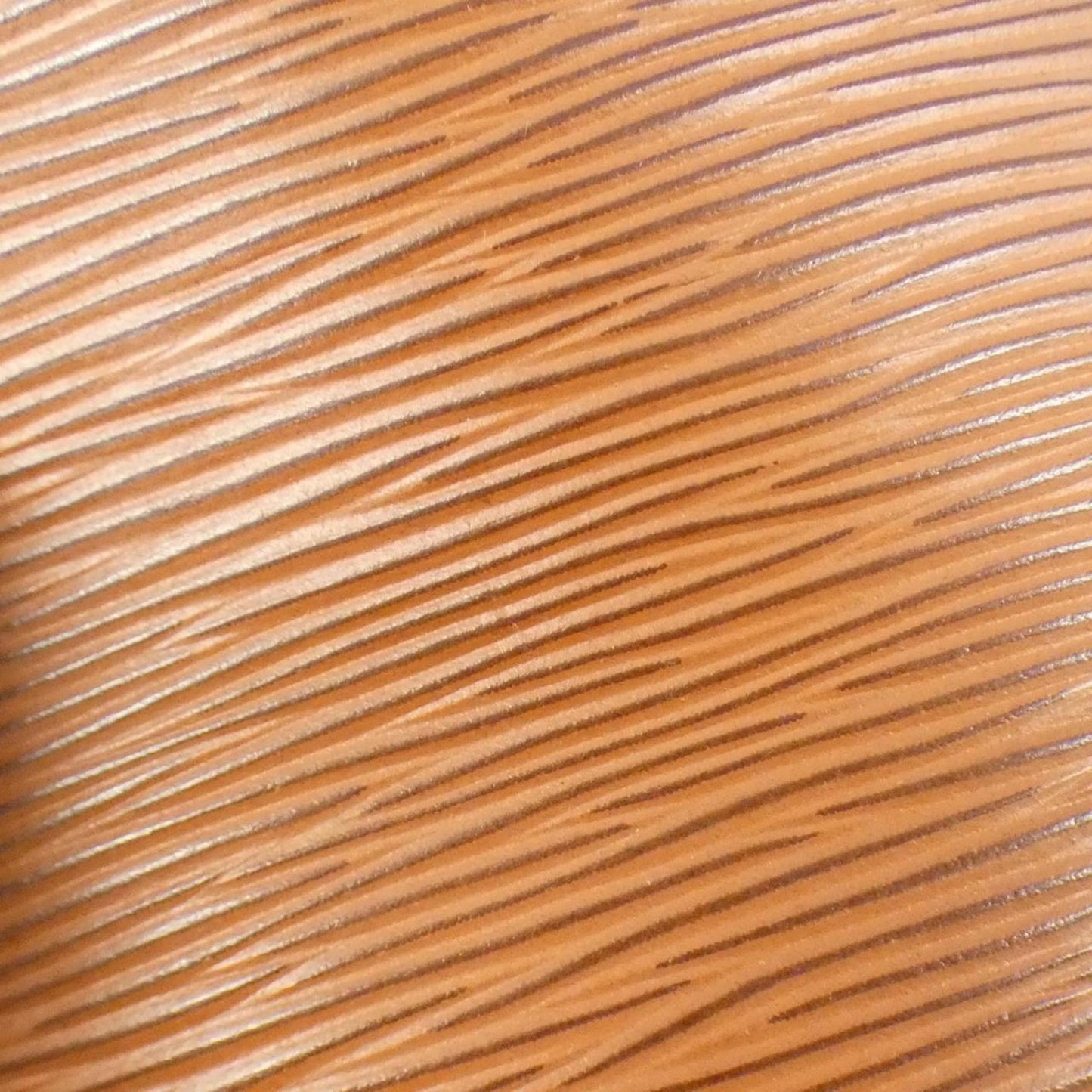 Fendi Others Brown Handbags