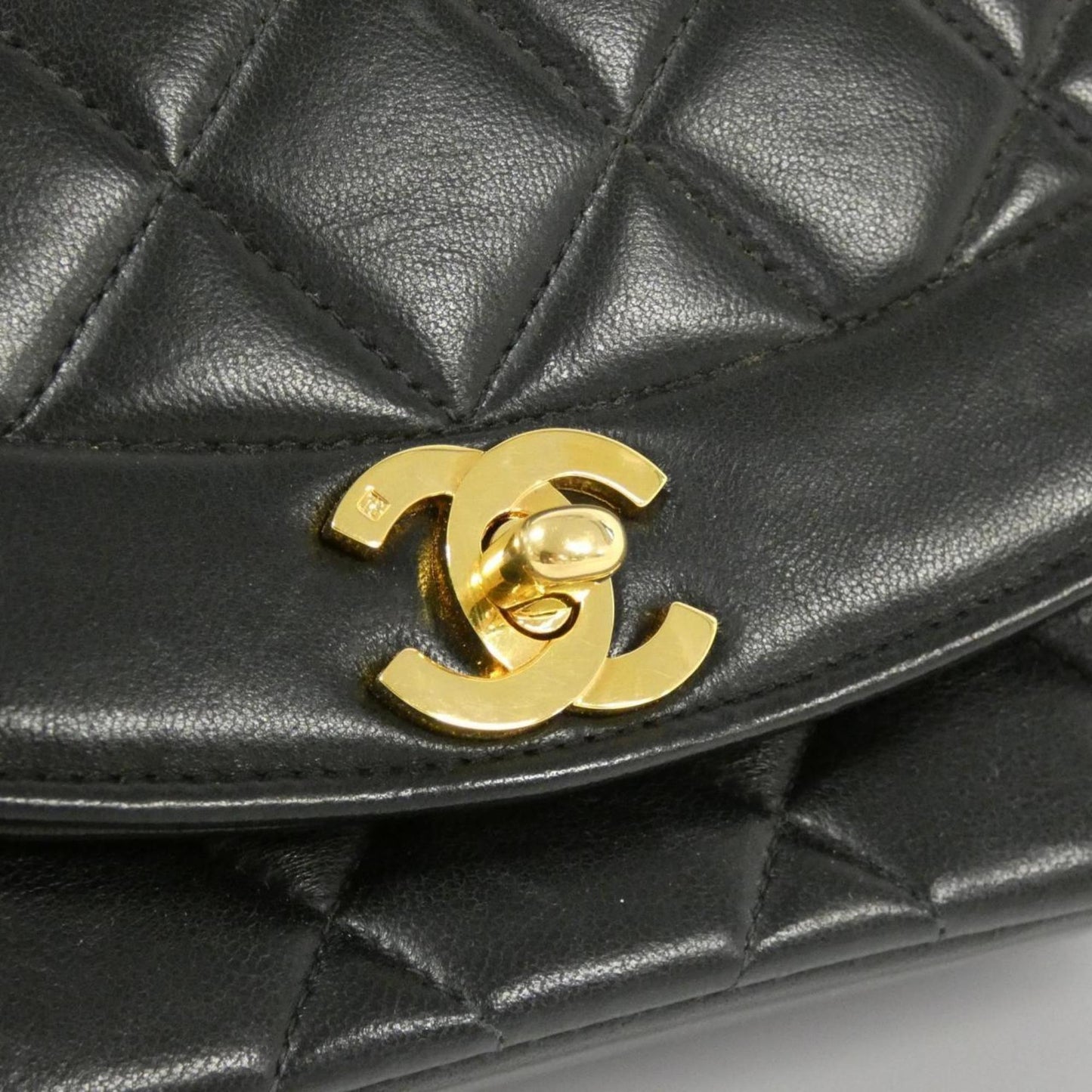 Chanel Others Black Shoulder Bags