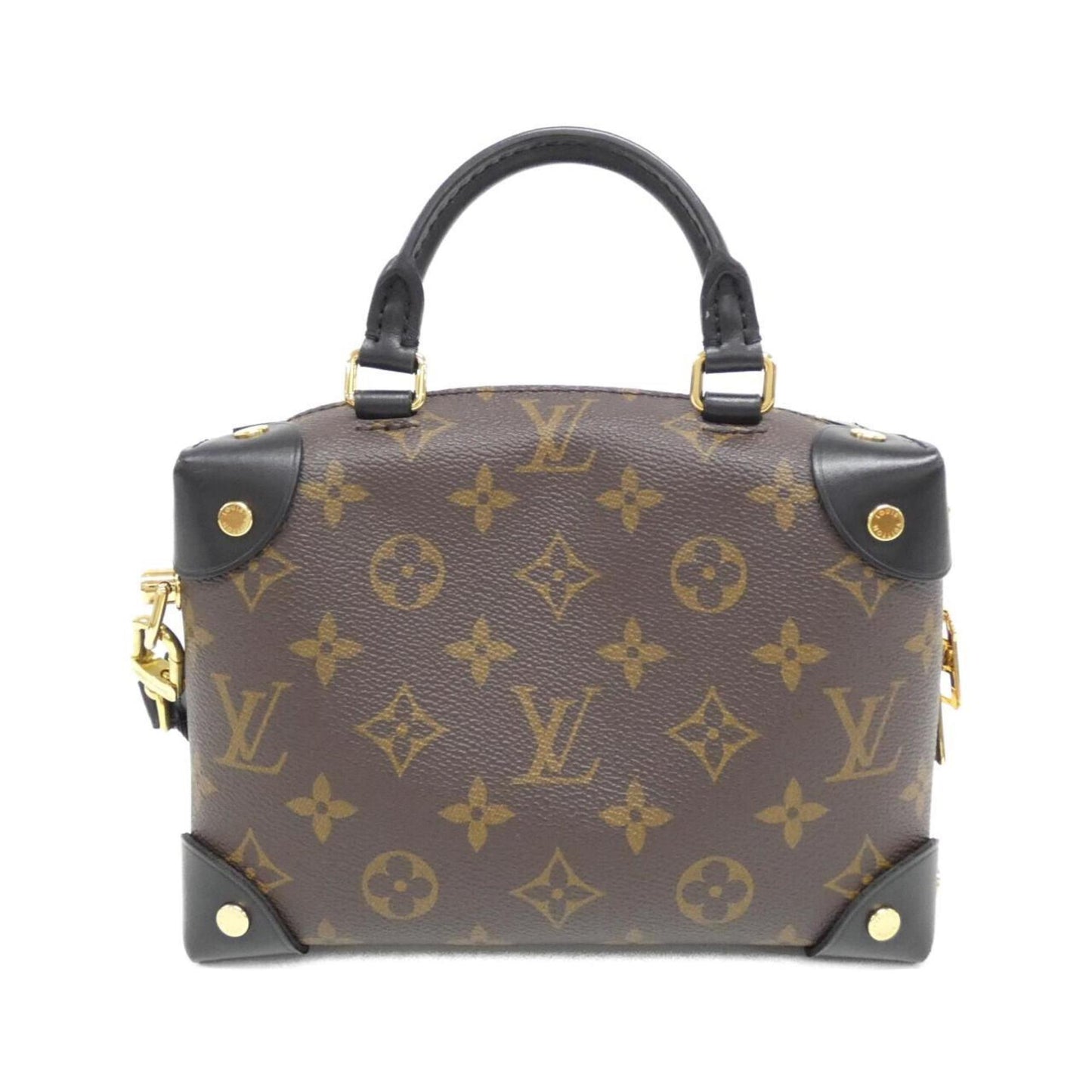 Louis Vuitton Coated Canvas Black Handbags