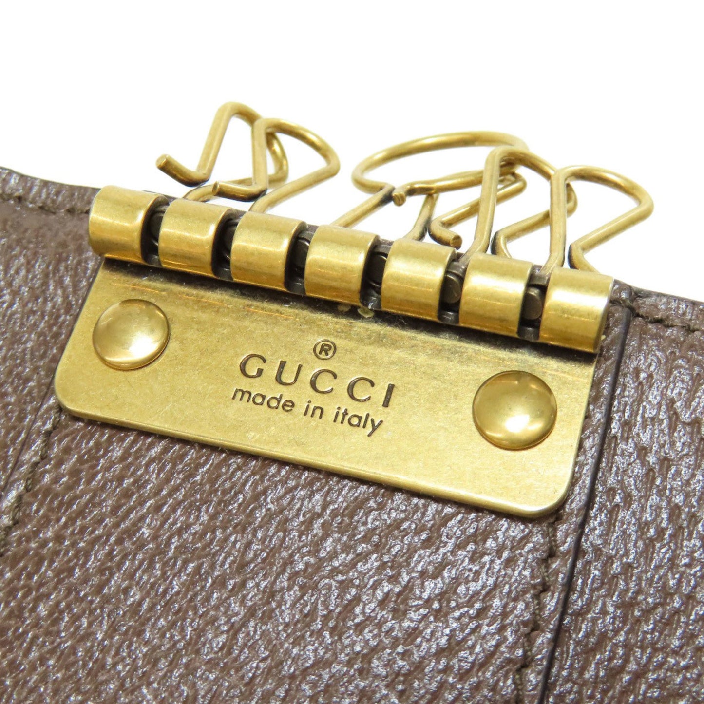 Gucci Canvas Brown Cases