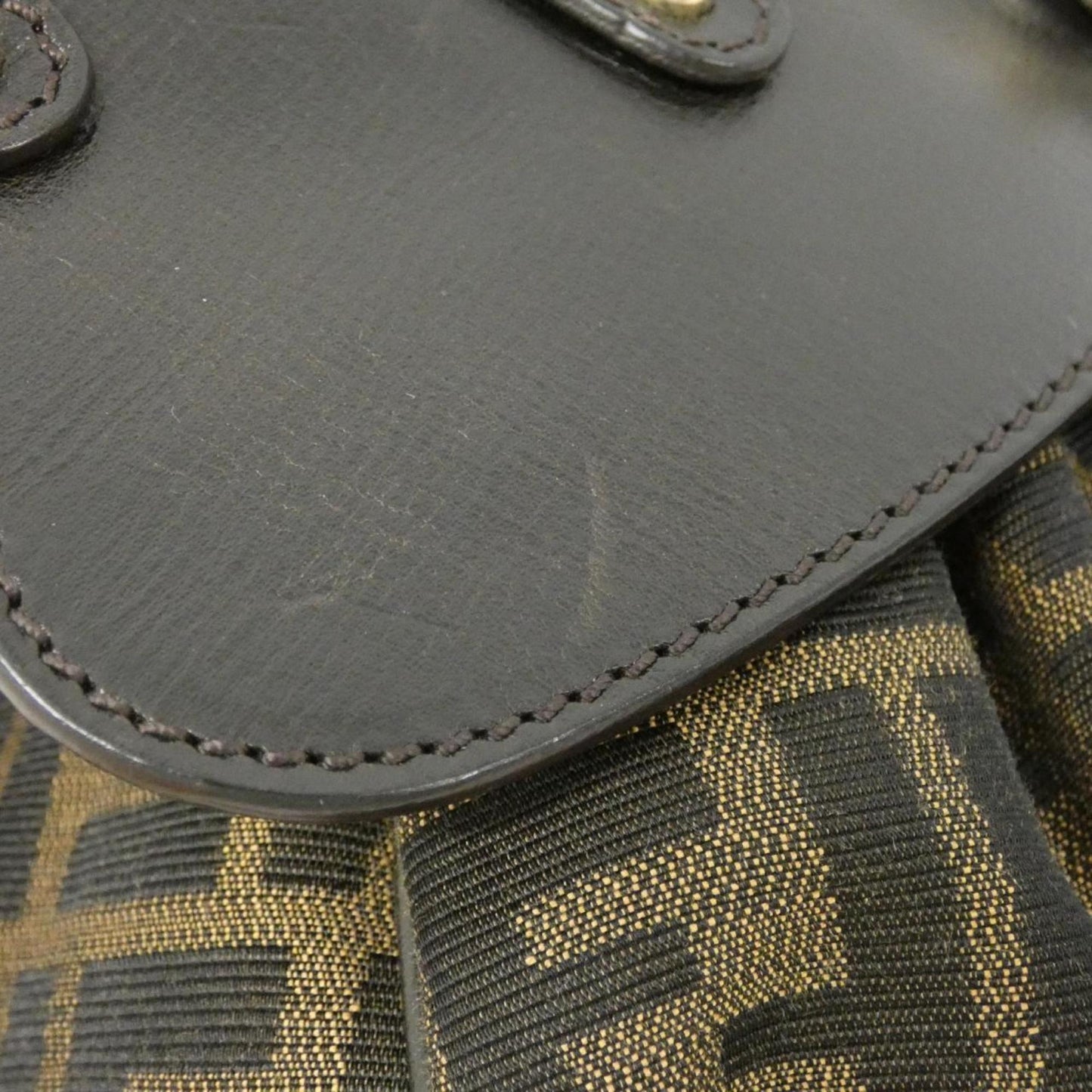 Fendi Canvas Brown Handbags