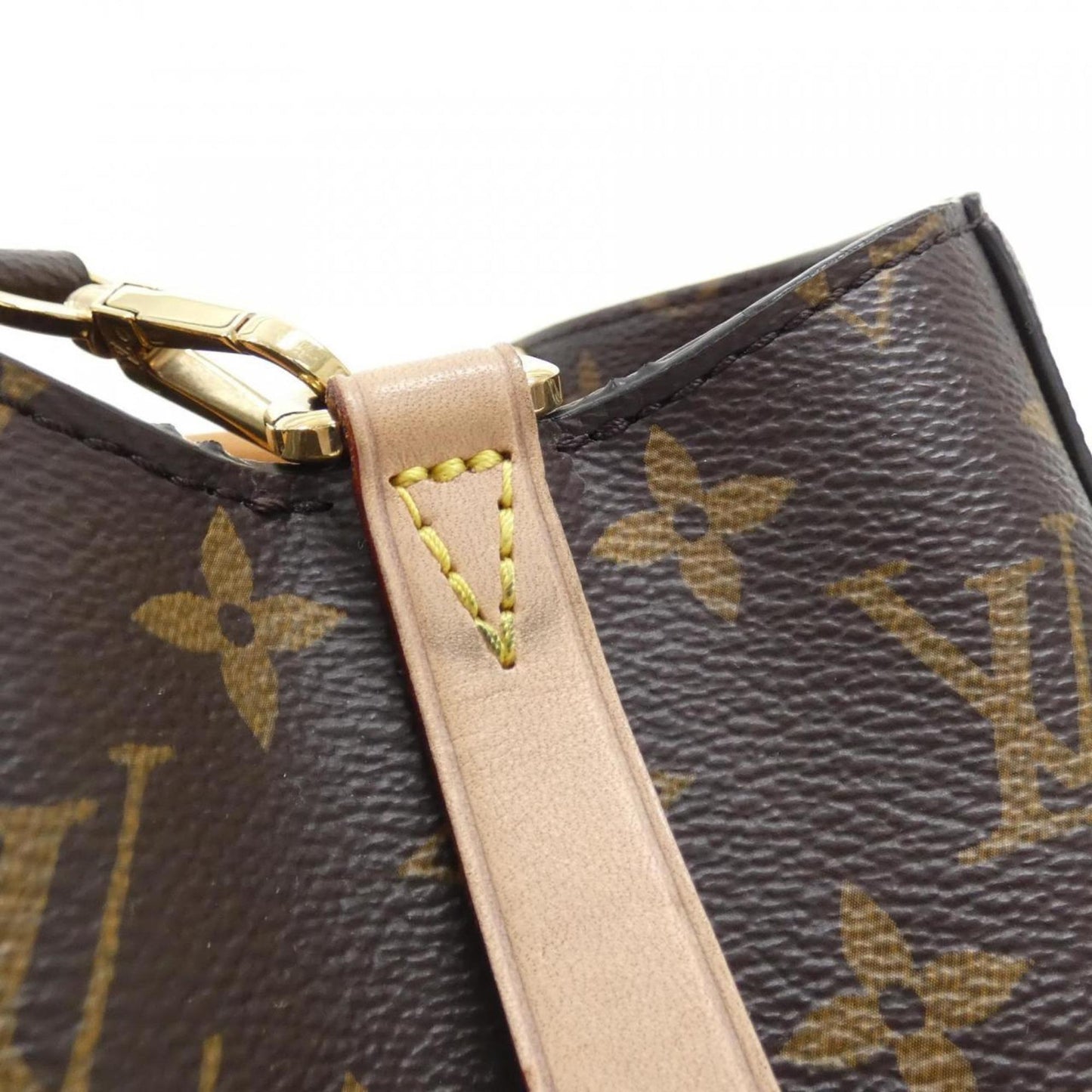 Louis Vuitton Coated Canvas Brown Handbags