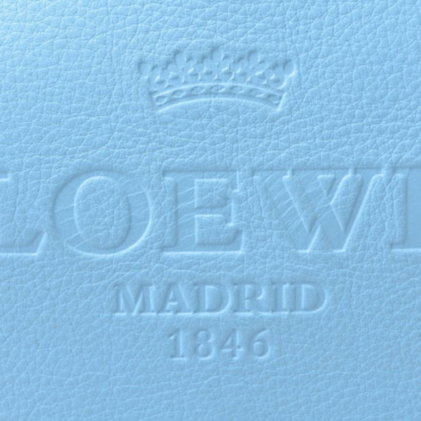 Loewe Others Blue Handbags