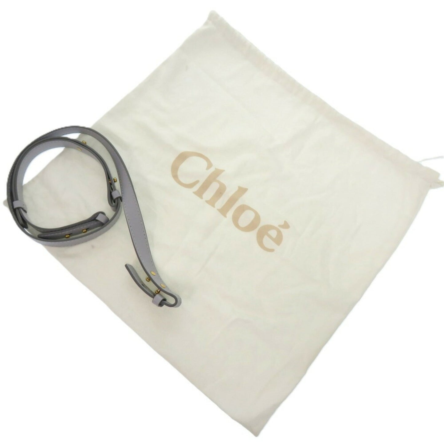 Chloé Others Blue Handbags