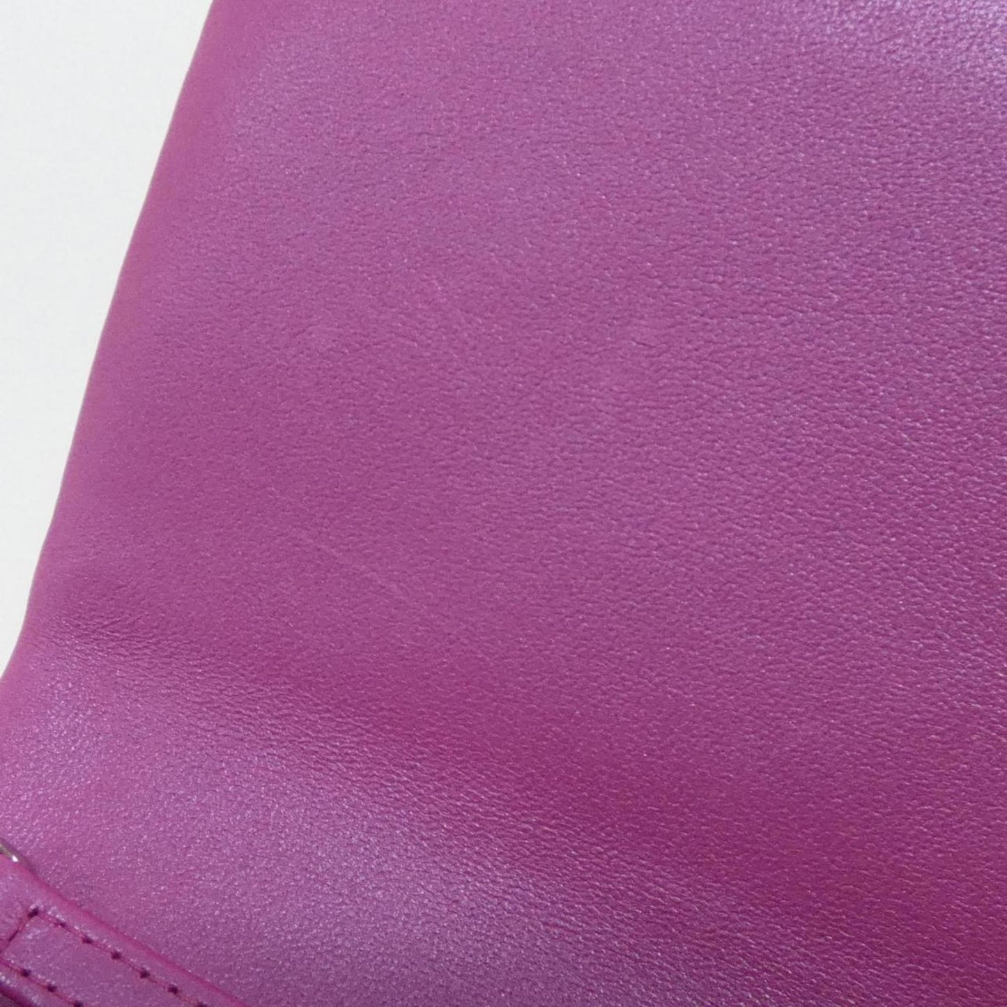 Chanel Others Pink Shoulder Bags
