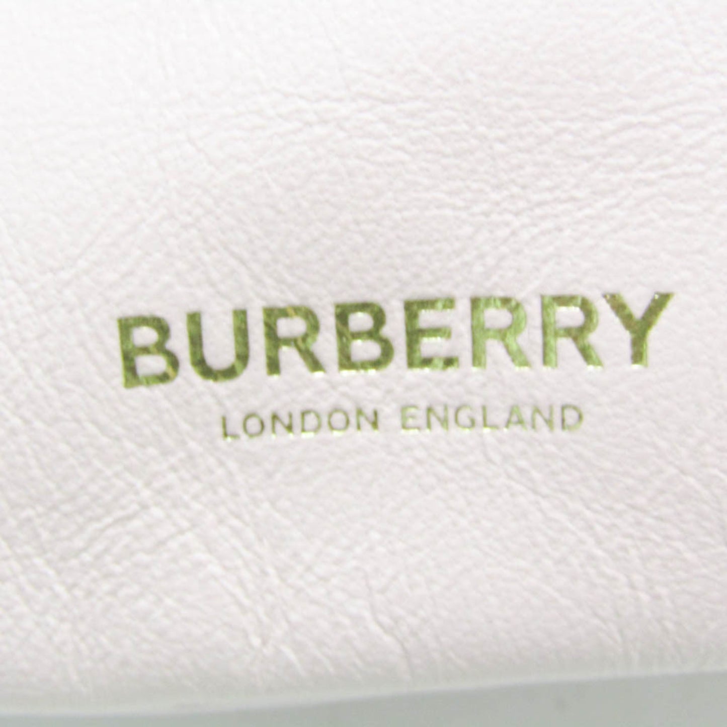 Burberry Others Pink Shoulder Bags