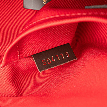 Louis Vuitton Pvc Brown Handbags