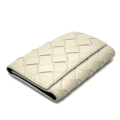 Bottega Veneta Others White Cases