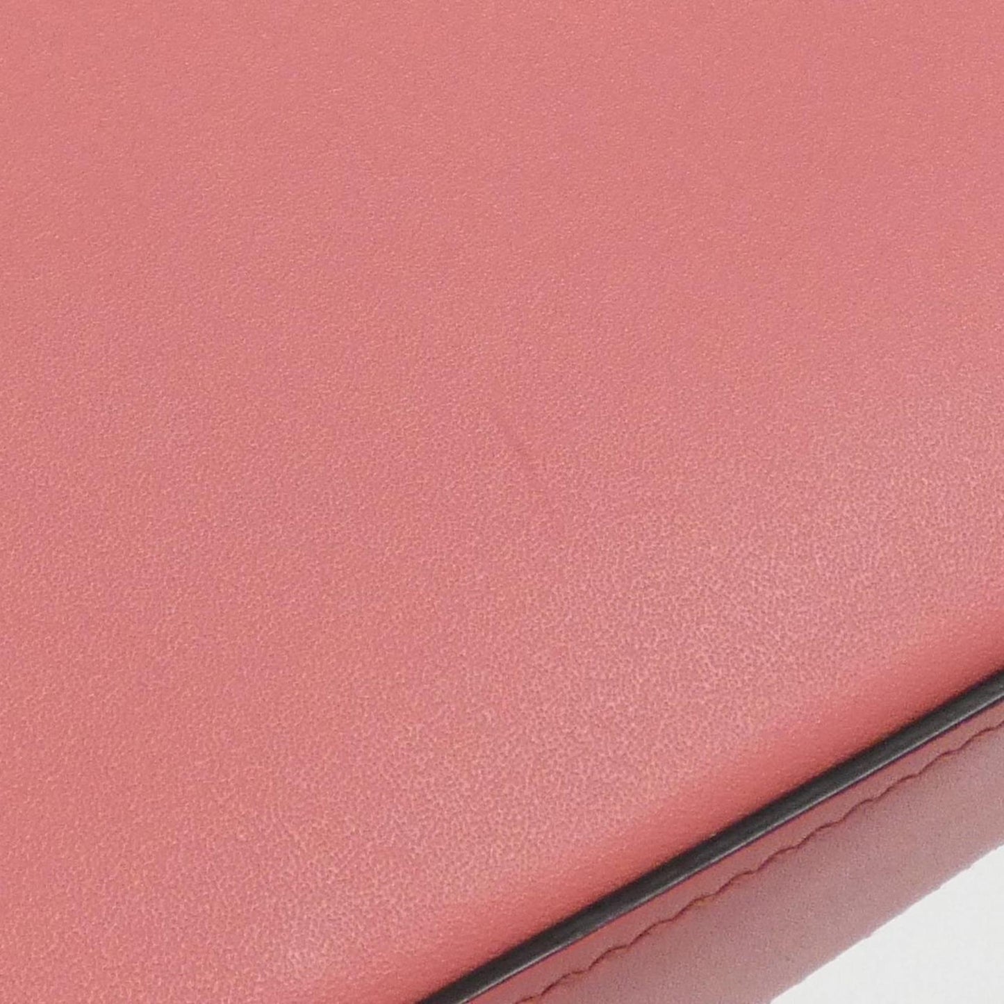 Gucci Others Pink Handbags