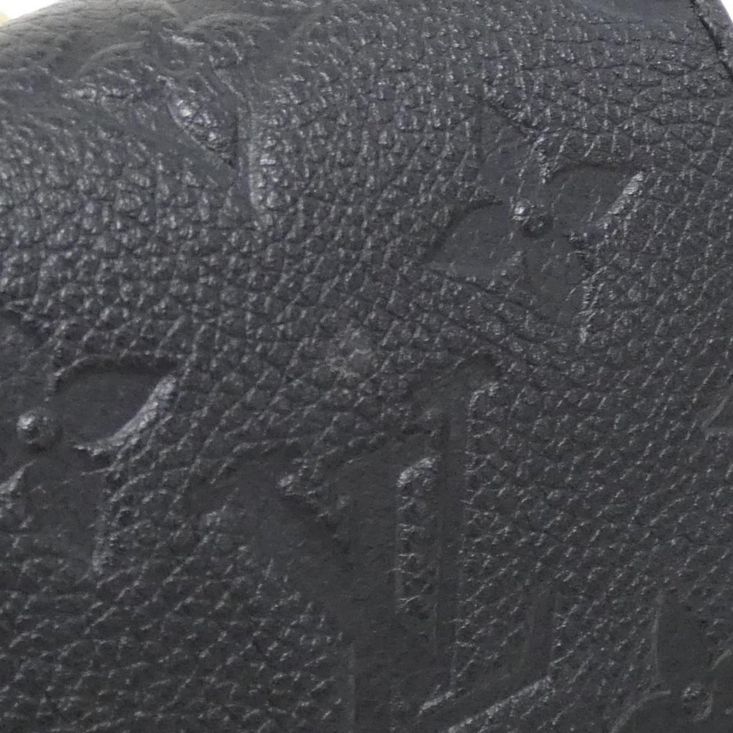 Louis Vuitton Others Black Shoulder Bags