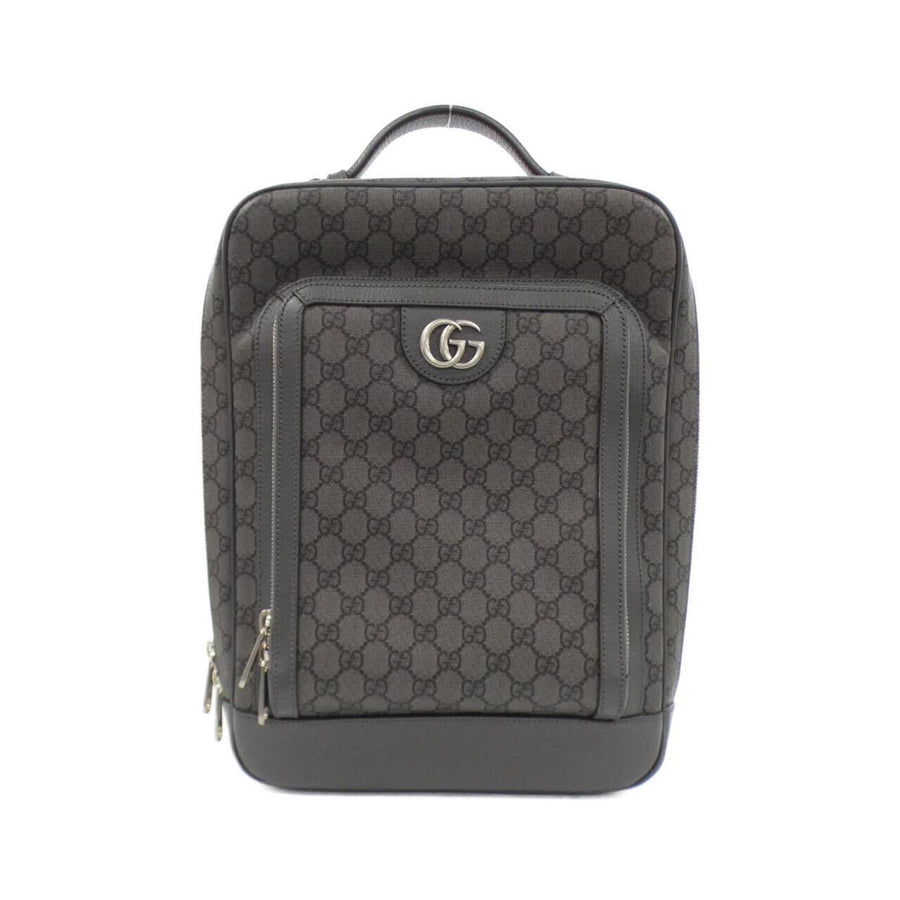 Gucci Others Gray Backpacks
