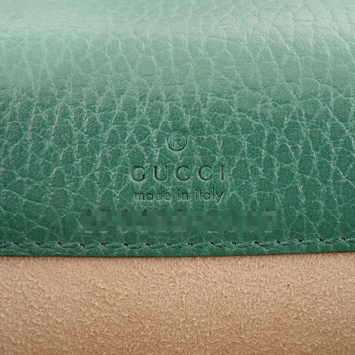 Gucci Others Green Shoulder Bags