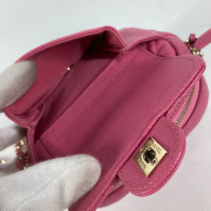 Chanel Others Pink Shoulder Bags