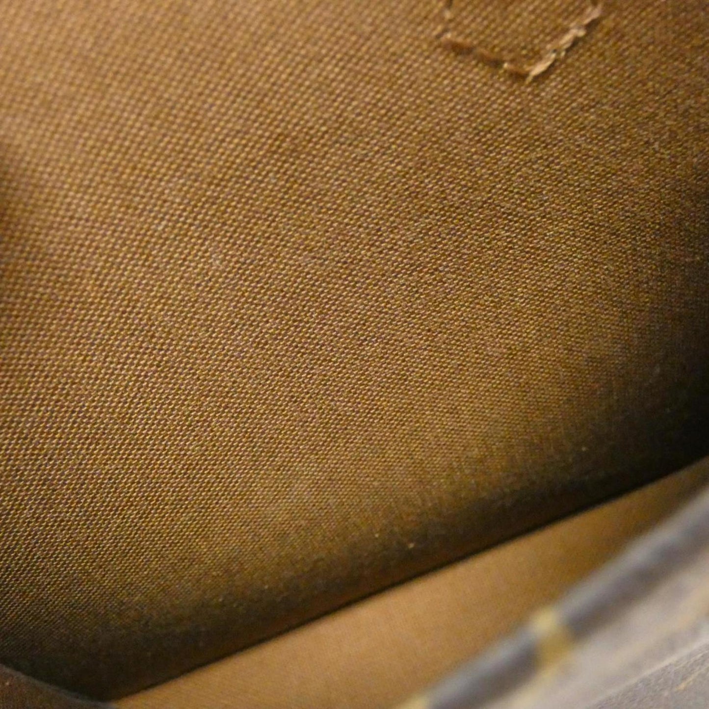 Louis Vuitton Monogram Canvas Brown Handbags