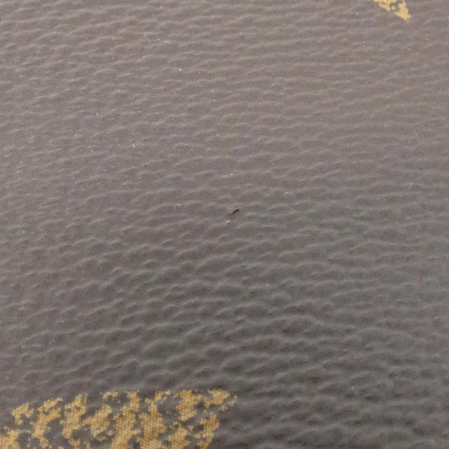 Louis Vuitton Coated Canvas Brown Handbags