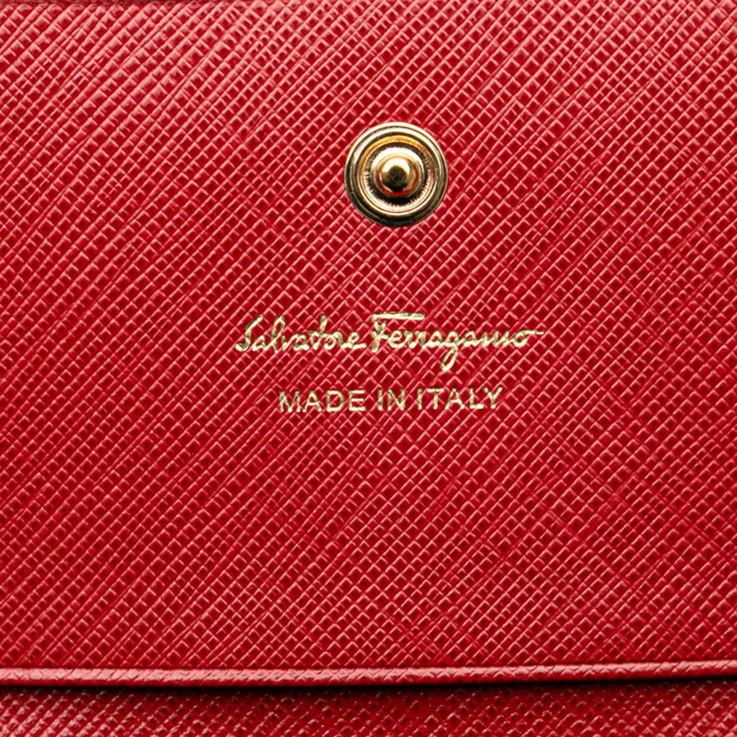 Salvatore Ferragamo Others Gold Cases