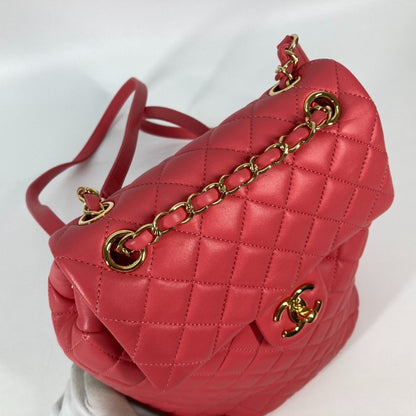 Chanel Others Pink Backpacks