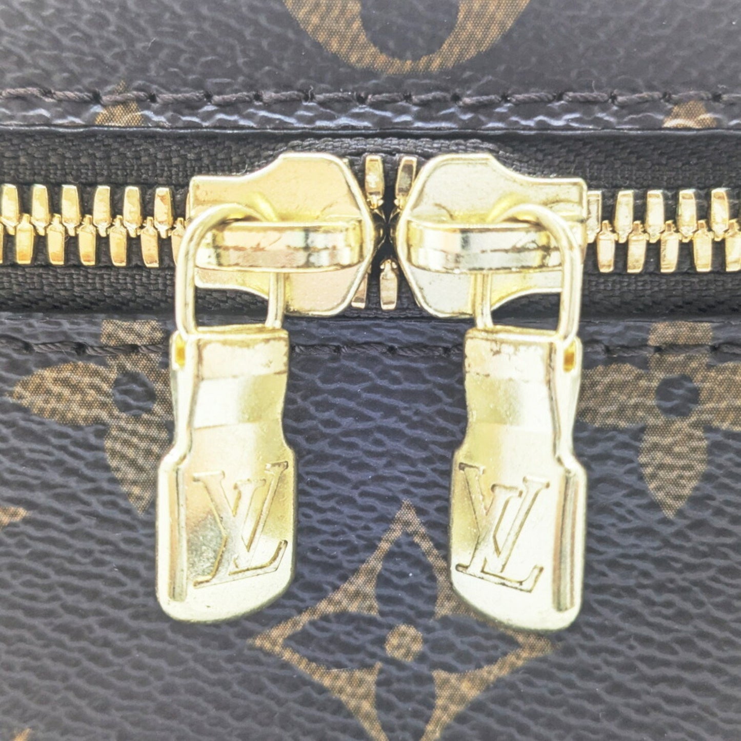 Louis Vuitton Monogram Canvas Brown Handbags