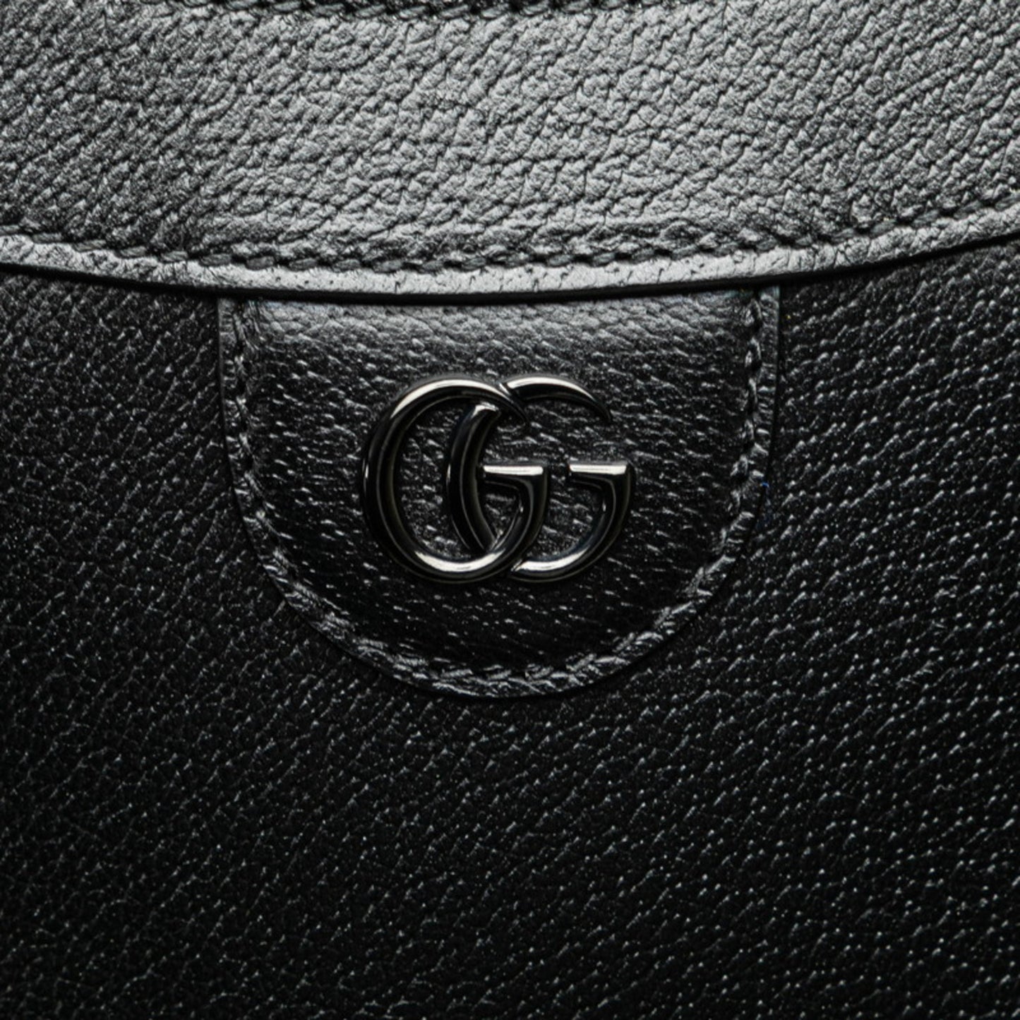 Gucci Others Black Shoulder Bags