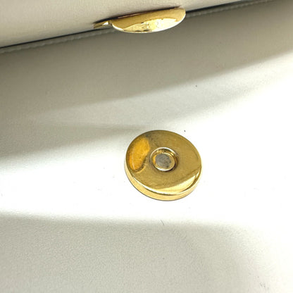 Gucci Others White Shoulder Bags
