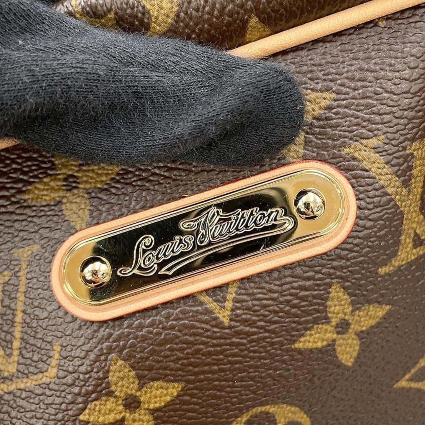 Louis Vuitton Monogram Canvas Brown Handbags