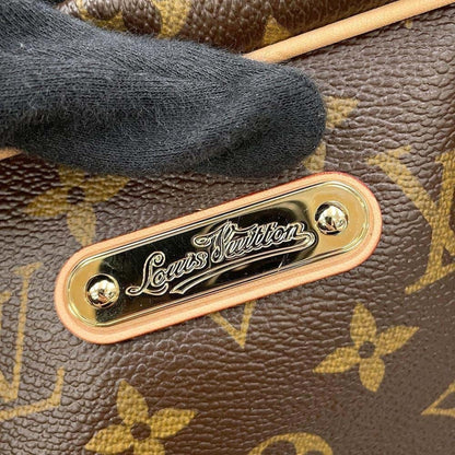 Louis Vuitton Monogram Canvas Brown Handbags