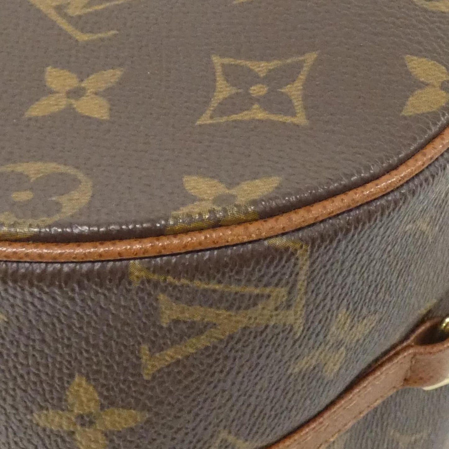 Louis Vuitton Monogram Canvas Brown Handbags