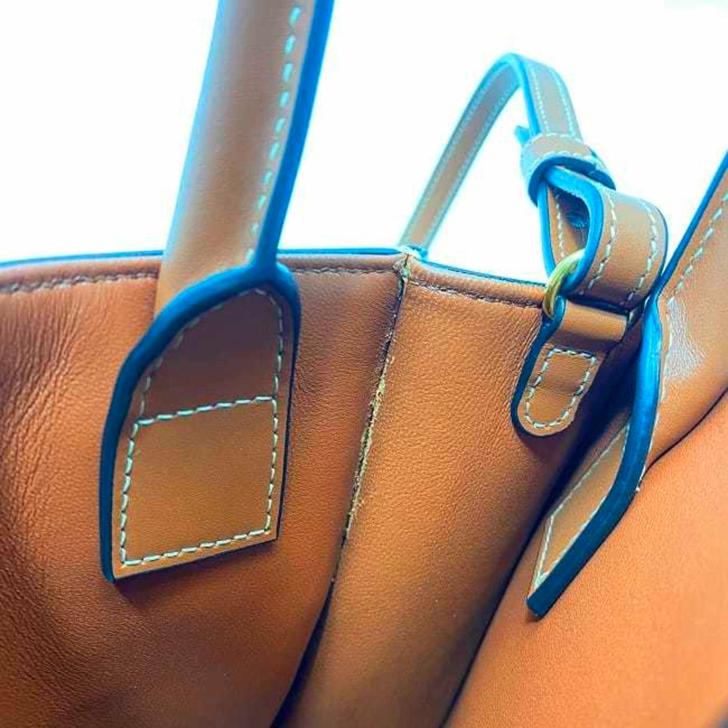 Celine Canvas Brown Handbags