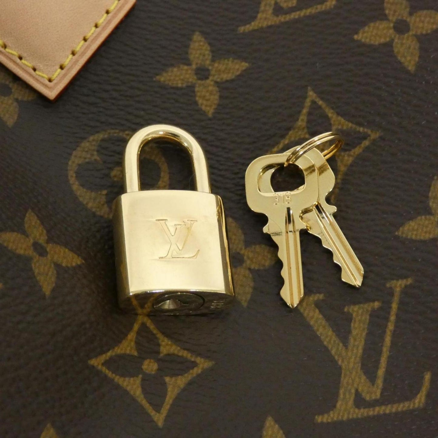 Louis Vuitton Coated Canvas Brown Travel Bags