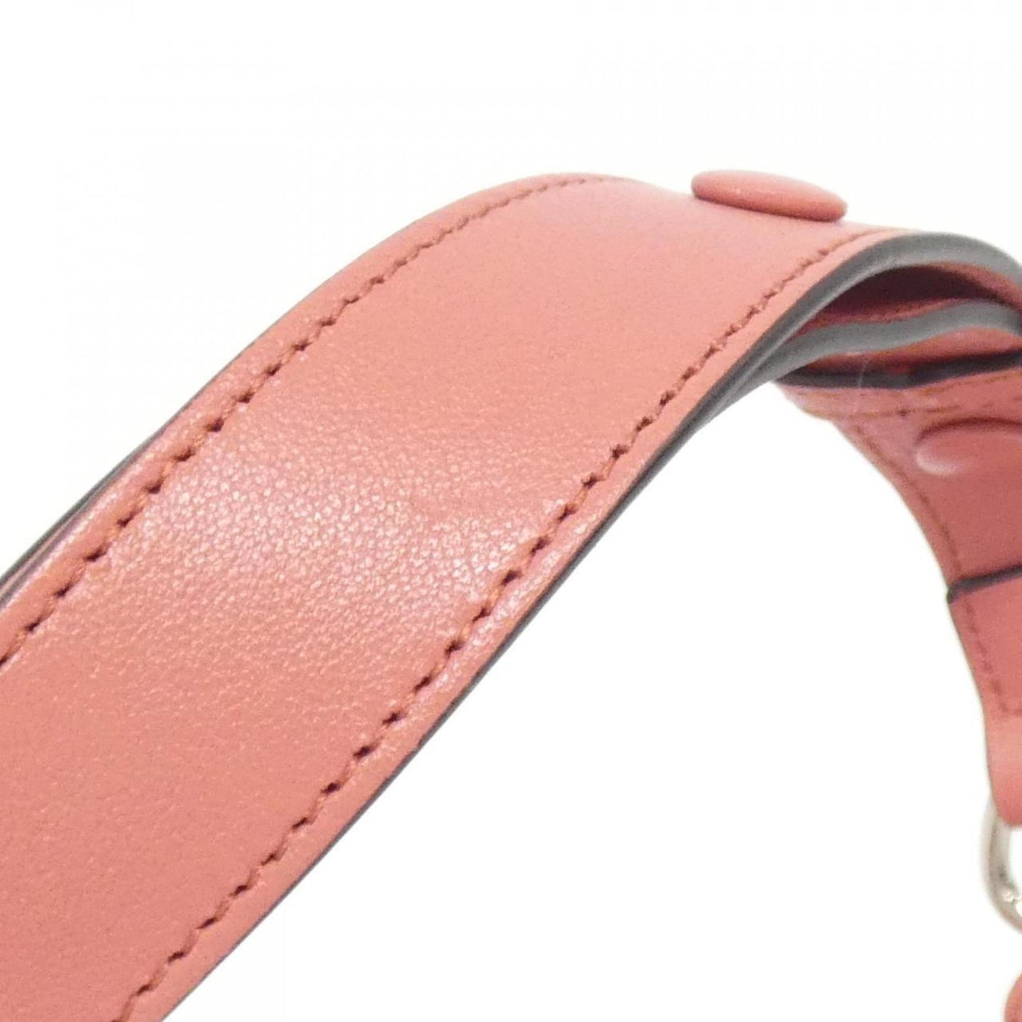 Gucci Others Pink Shoulder Bags