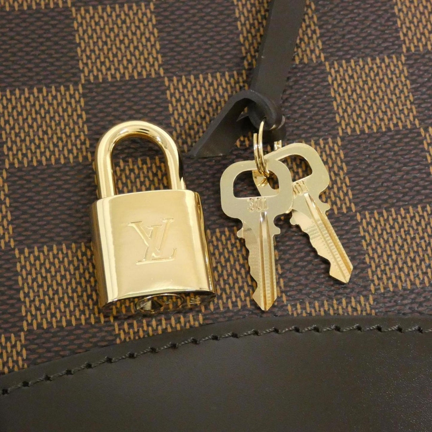 Louis Vuitton Coated Canvas Brown Handbags