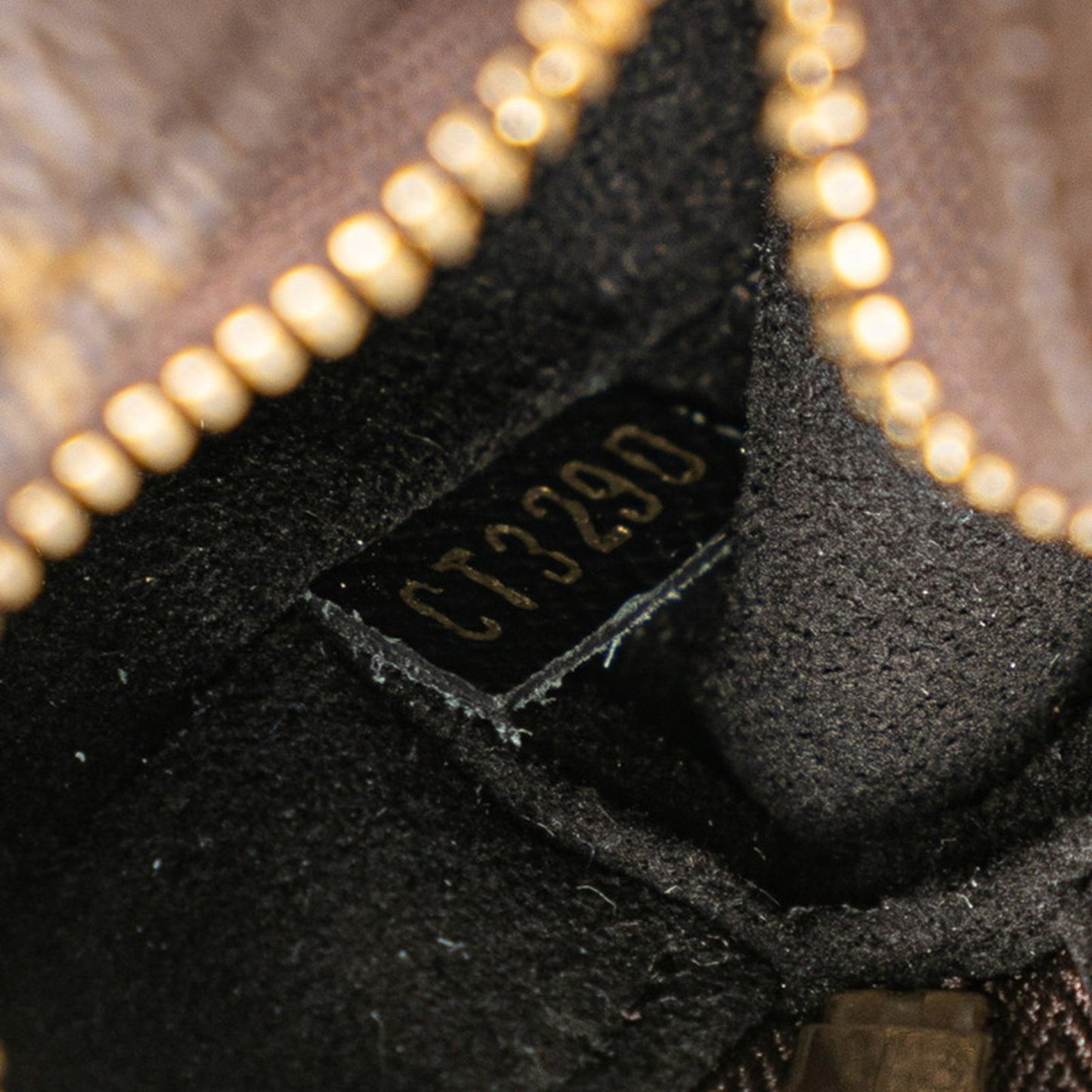 Louis Vuitton Pvc Brown Small Bags
