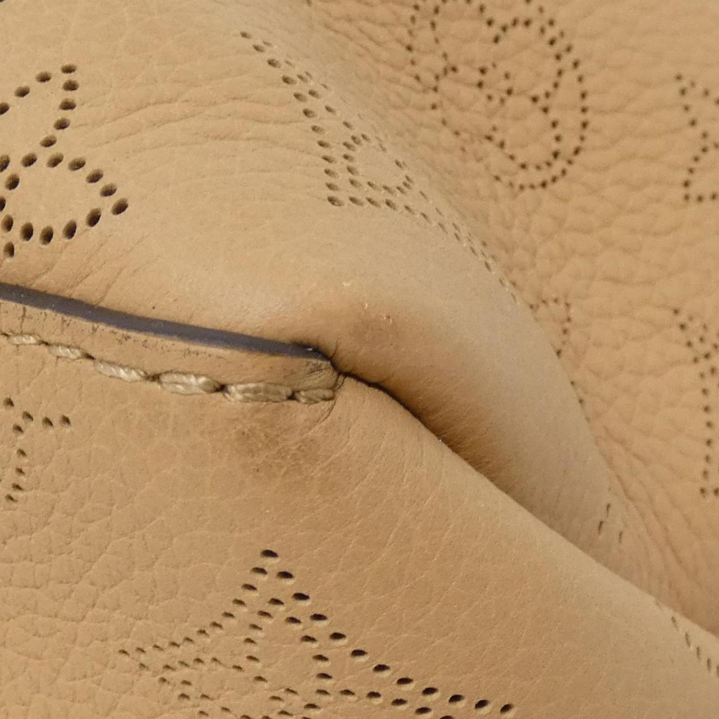 Louis Vuitton Others Brown Handbags