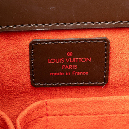 Louis Vuitton Pvc Brown Handbags