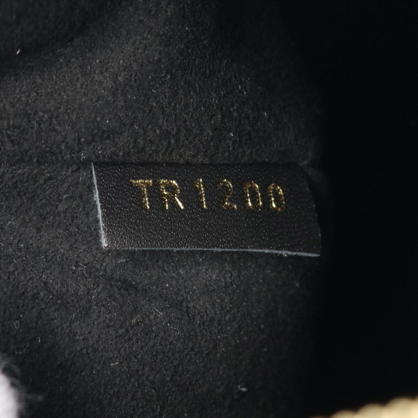 Louis Vuitton Coated Canvas Black Handbags