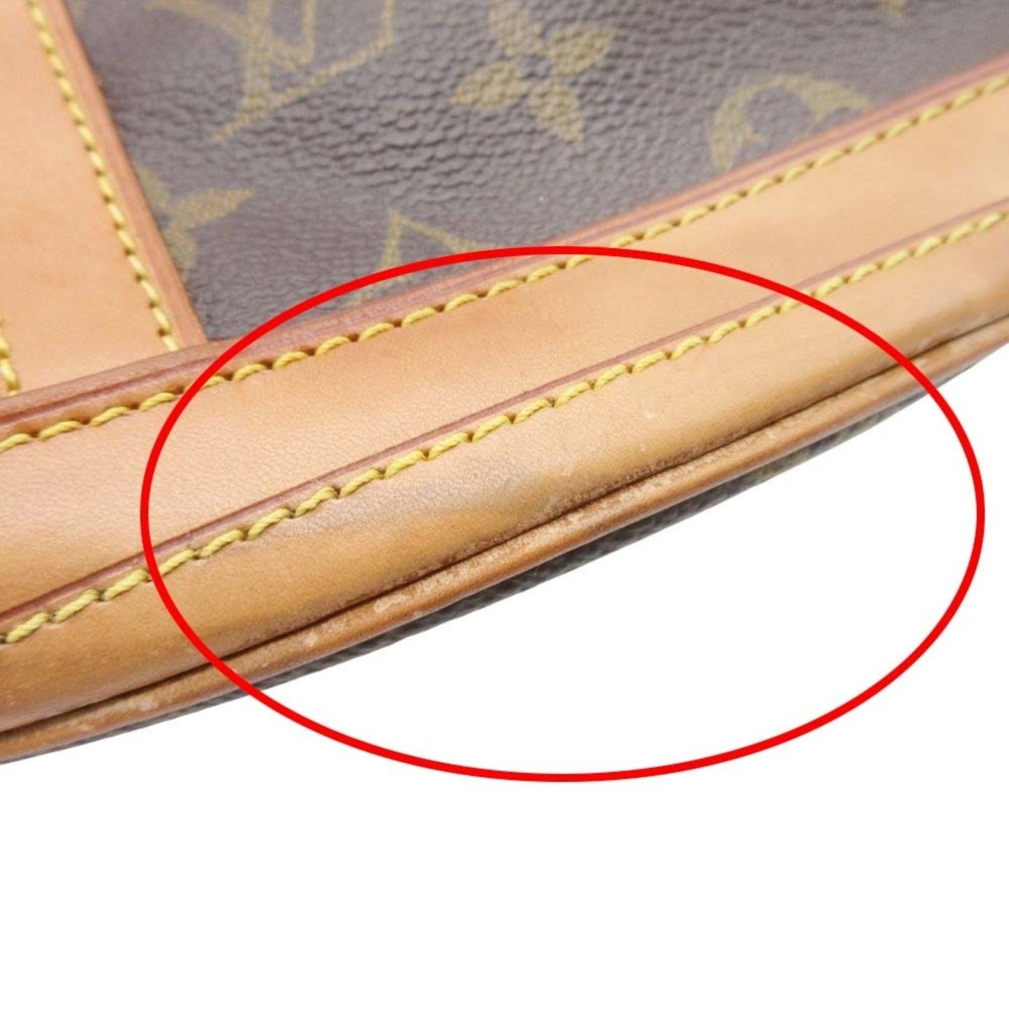 Louis Vuitton Monogram Canvas Brown Handbags