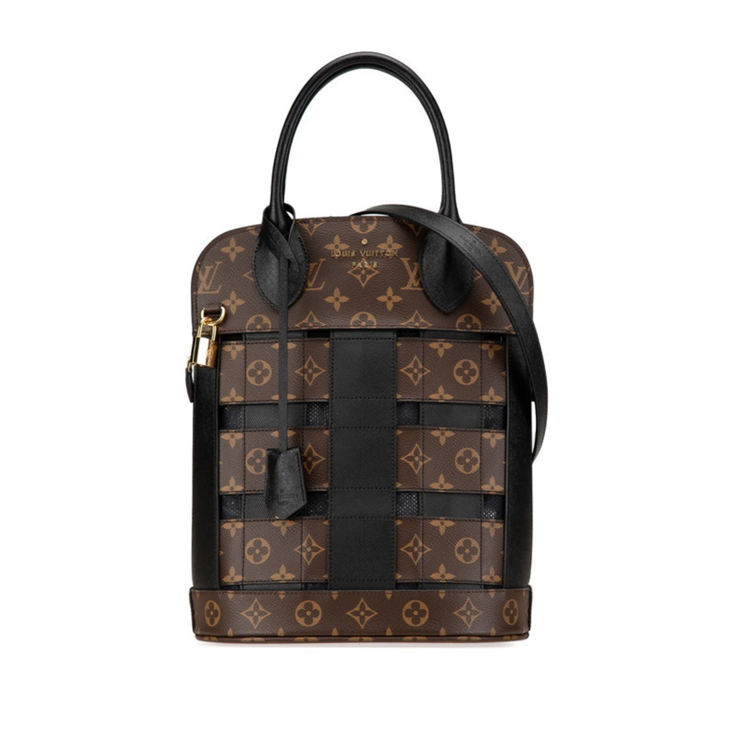 Louis Vuitton Pvc Black Handbags